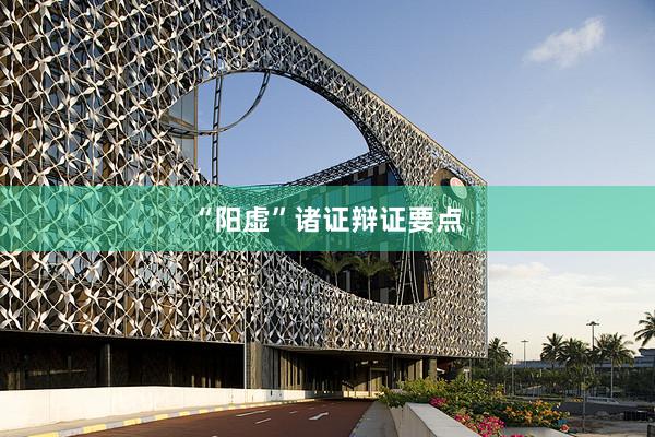 “阳虚”诸证辩证要点