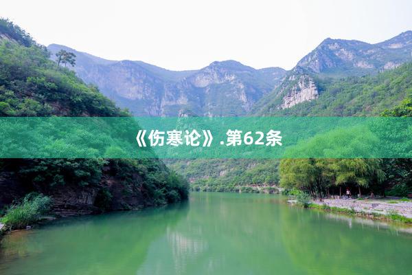 《伤寒论》.第62条