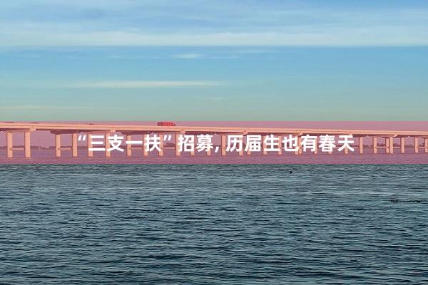 “三支一扶”招募, 历届生也有春天
