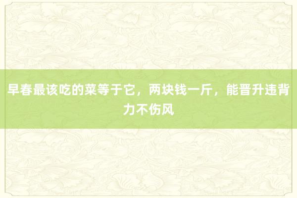 早春最该吃的菜等于它，两块钱一斤，能晋升违背力不伤风