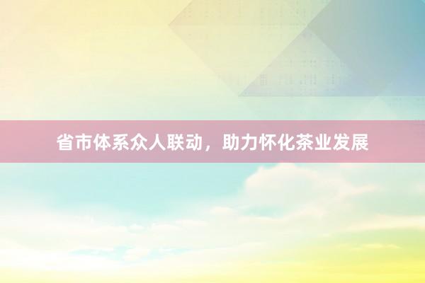 省市体系众人联动,助力怀化茶业发展