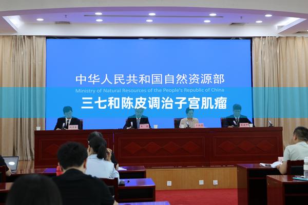 三七和陈皮调治子宫肌瘤