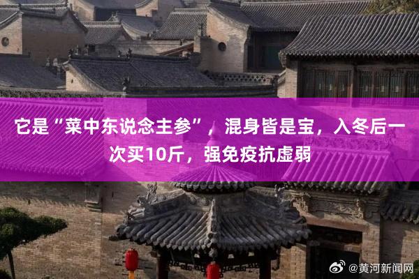 它是“菜中东说念主参”，混身皆是宝，入冬后一次买10斤，强免疫抗虚弱