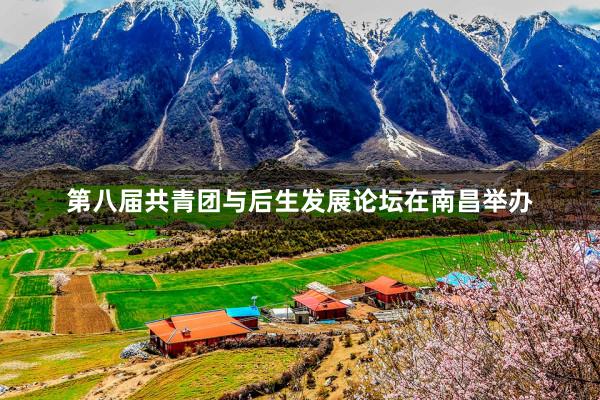 第八届共青团与后生发展论坛在南昌举办