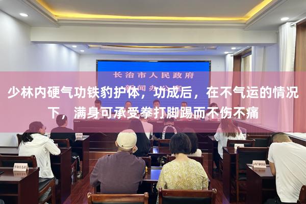 少林内硬气功铁豹护体，功成后，在不气运的情况下，满身可承受拳打脚踢而不伤不痛