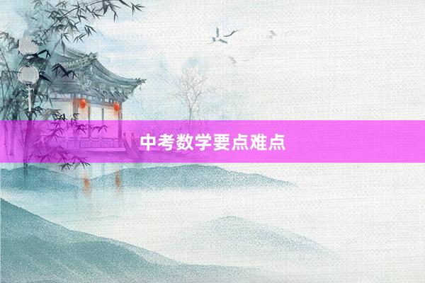 中考数学要点难点